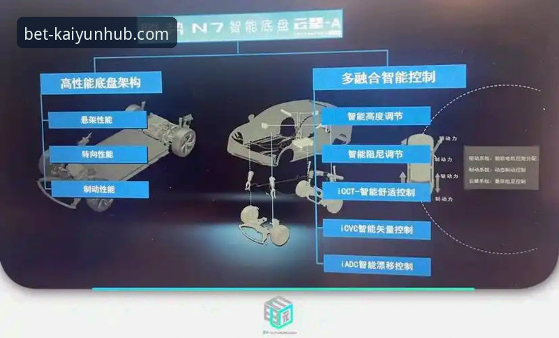 开云官网深度对比分析：从A7B2专区到竞猜平台的全面解析